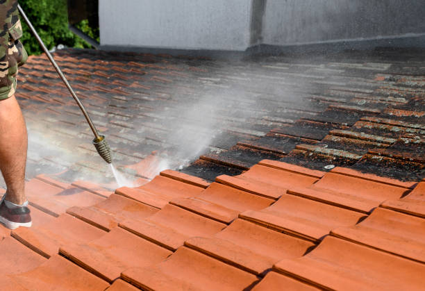 Best Sidewalk Pressure Washing  in , AK
