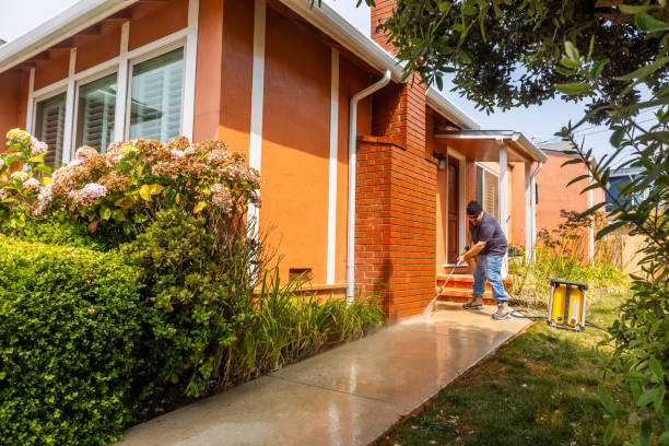 Best Local Pressure Washing Services  in , AK