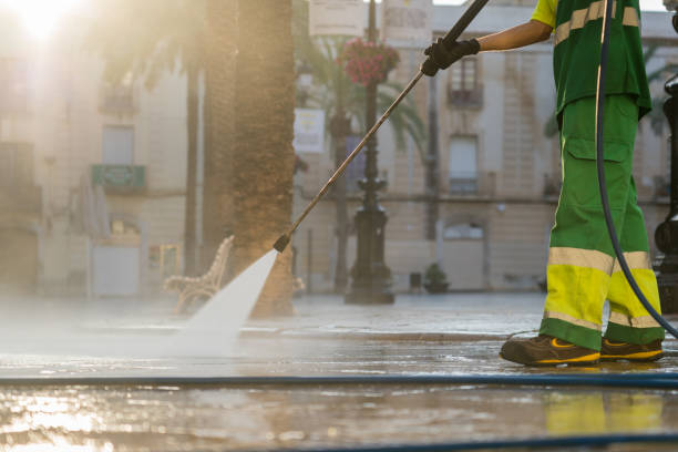 Best Roof Pressure Washing  in , AK