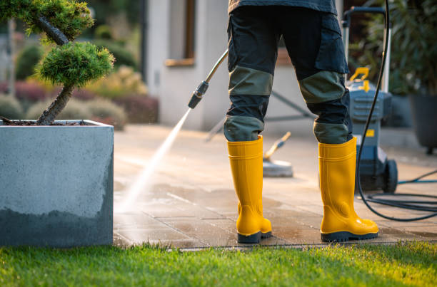Best Roof Power Washing Services  in , AK